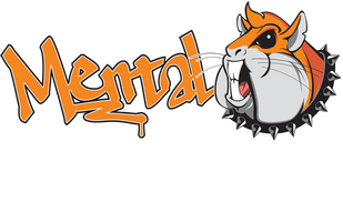 Mental Hamster | Next Generation Fitness