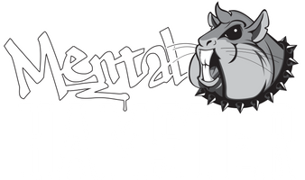Mental Hamster | Next Generation Fitness